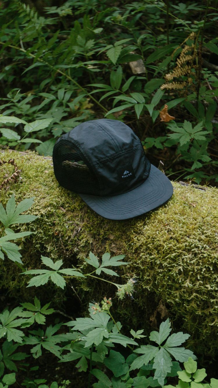 Daily Build — Tilak 5-panel on moss